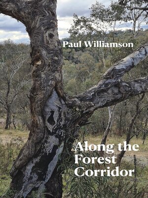 cover image of Along the Forest Corridor